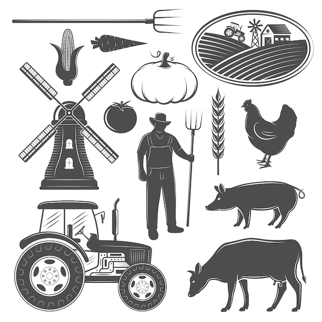 Nowe dotacje dla rolników: Odkryj finansowe wsparcie 2025