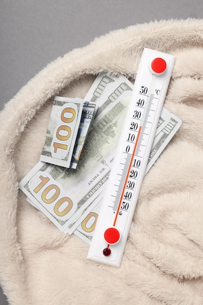 Zneutralizowane ceny opału a ich wpływ na rynek