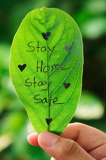 Oszczędzanie na ogrzewaniu w domu: Efektywność i oszczędności