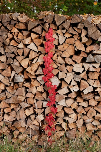 Zneutralizowane ceny opału: Kluczowe czynniki stabilizacji rynku